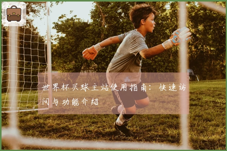 世界杯买球主站使用指南：快速访问与功能介绍