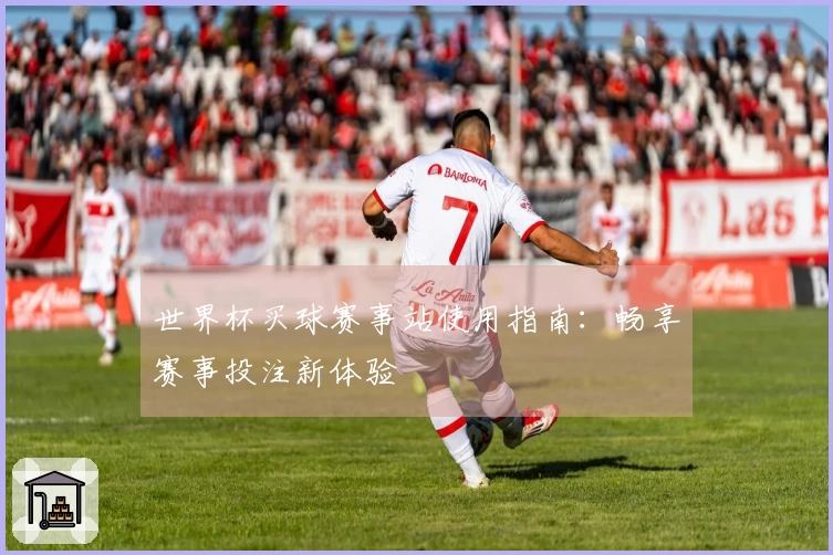 世界杯买球赛事站使用指南：畅享赛事投注新体验