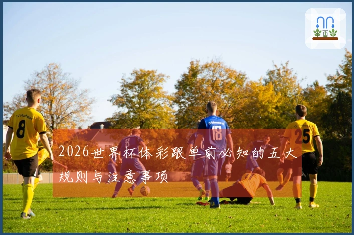 2026世界杯体彩跟单前必知的五大规则与注意事项