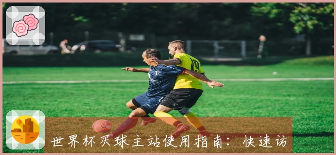 世界杯买球主站使用指南：快速访问与功能介绍