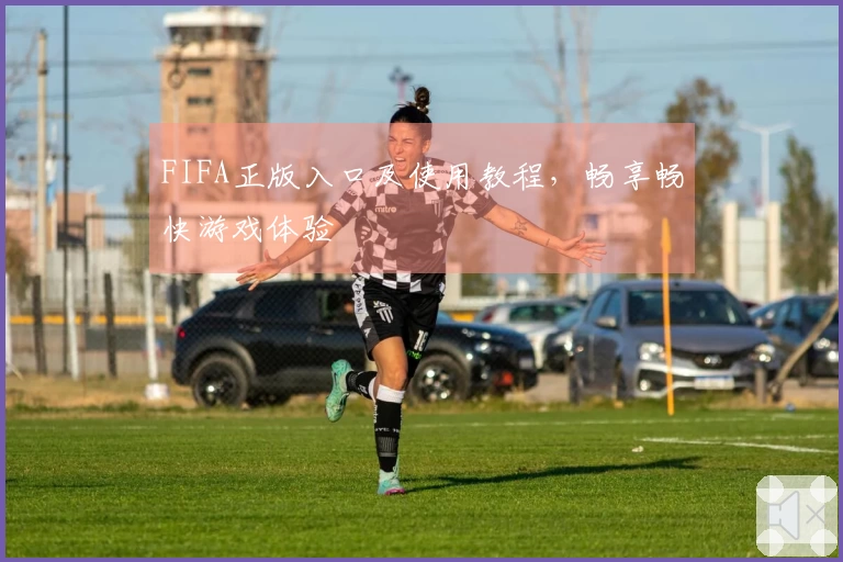 FIFA正版入口及使用教程，畅享畅快游戏体验