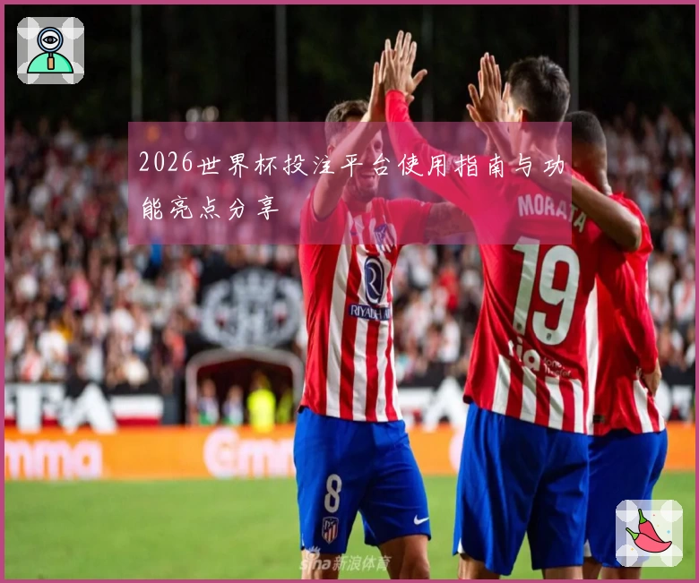2026世界杯投注平台使用指南与功能亮点分享