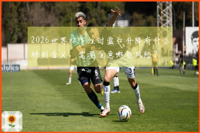 2026世界杯下注时盘口升降有什么特别含义，需要注意哪些风险？