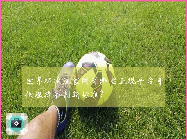世界杯投注官网有哪些正规平台可供选择和判断标准？