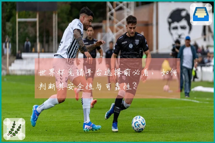 世界杯竞猜平台选择前必看，如何判断其安全性与可靠性？