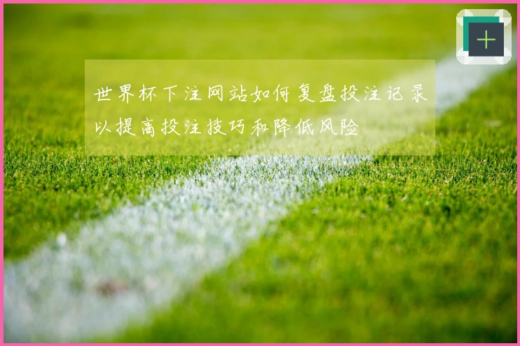 世界杯下注网站如何复盘投注记录以提高投注技巧和降低风险