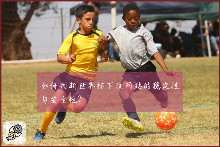 如何判断世界杯下注网站的稳定性与安全性？