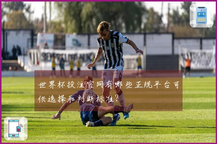 世界杯投注官网有哪些正规平台可供选择和判断标准？