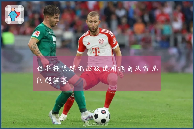 世界杯买球电脑版使用指南及常见问题解答