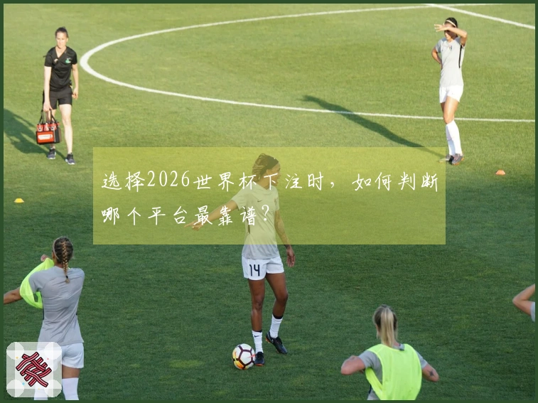 选择2026世界杯下注时，如何判断哪个平台最靠谱？