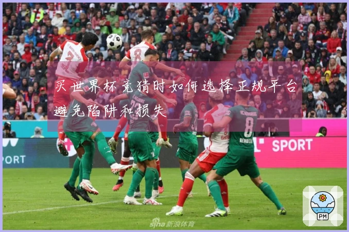 买世界杯竞猜时如何选择正规平台避免陷阱和损失