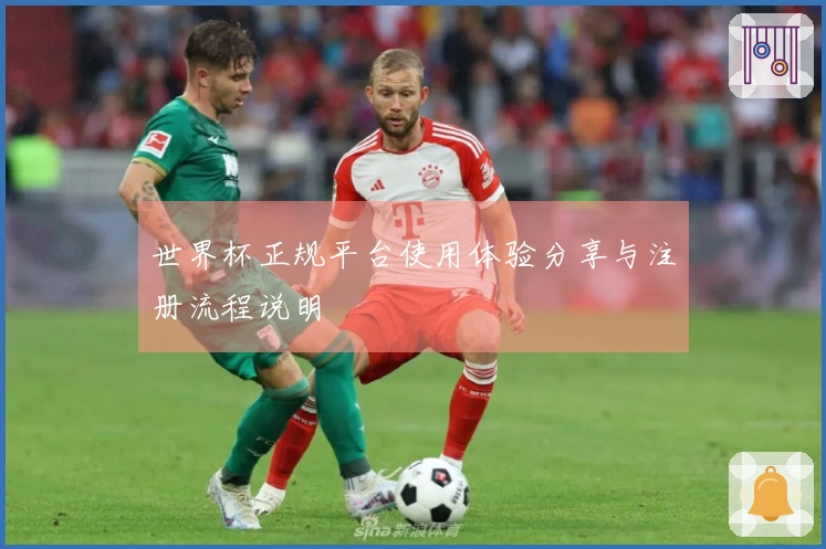 世界杯正规平台使用体验分享与注册流程说明