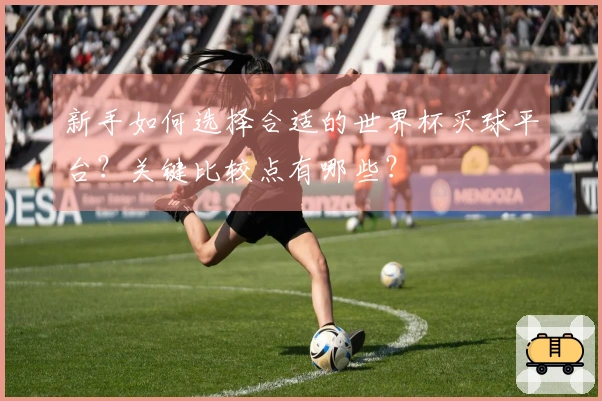 新手如何选择合适的世界杯买球平台?关键比较点有哪些?