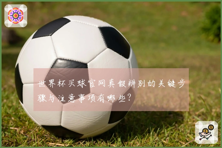 世界杯买球官网真假辨别的关键步骤与注意事项有哪些？