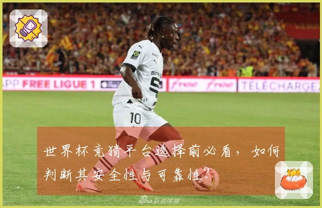 世界杯竞猜平台选择前必看，如何判断其安全性与可靠性？