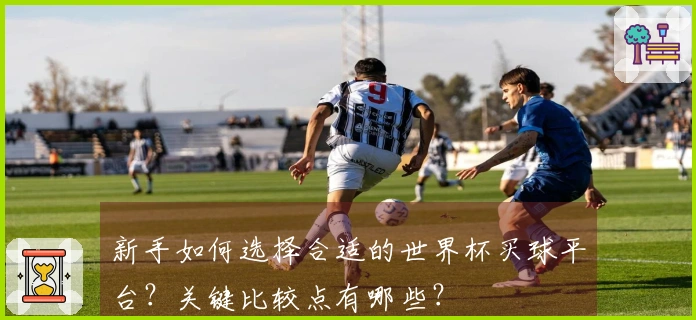新手如何选择合适的世界杯买球平台?关键比较点有哪些?