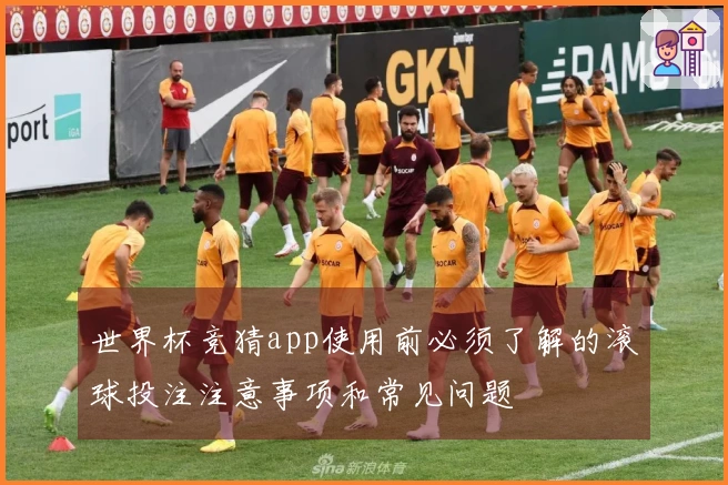 世界杯竞猜app使用前必须了解的滚球投注注意事项和常见问题