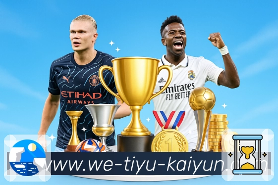 2026世界杯买球在线站使用说明与操作体验分享